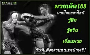 แทงมวยสเต็ป